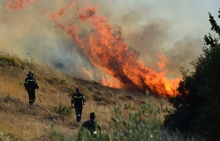 23 βουλευτές υπέρ της προστασίας των πυρόπληκτων